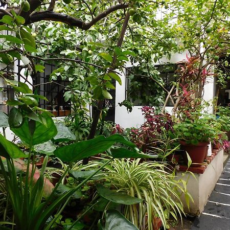 Maria Bonita By Rotamundos Hotel แท็กซ์โก เด อลาร์คอน ภายนอก รูปภาพ