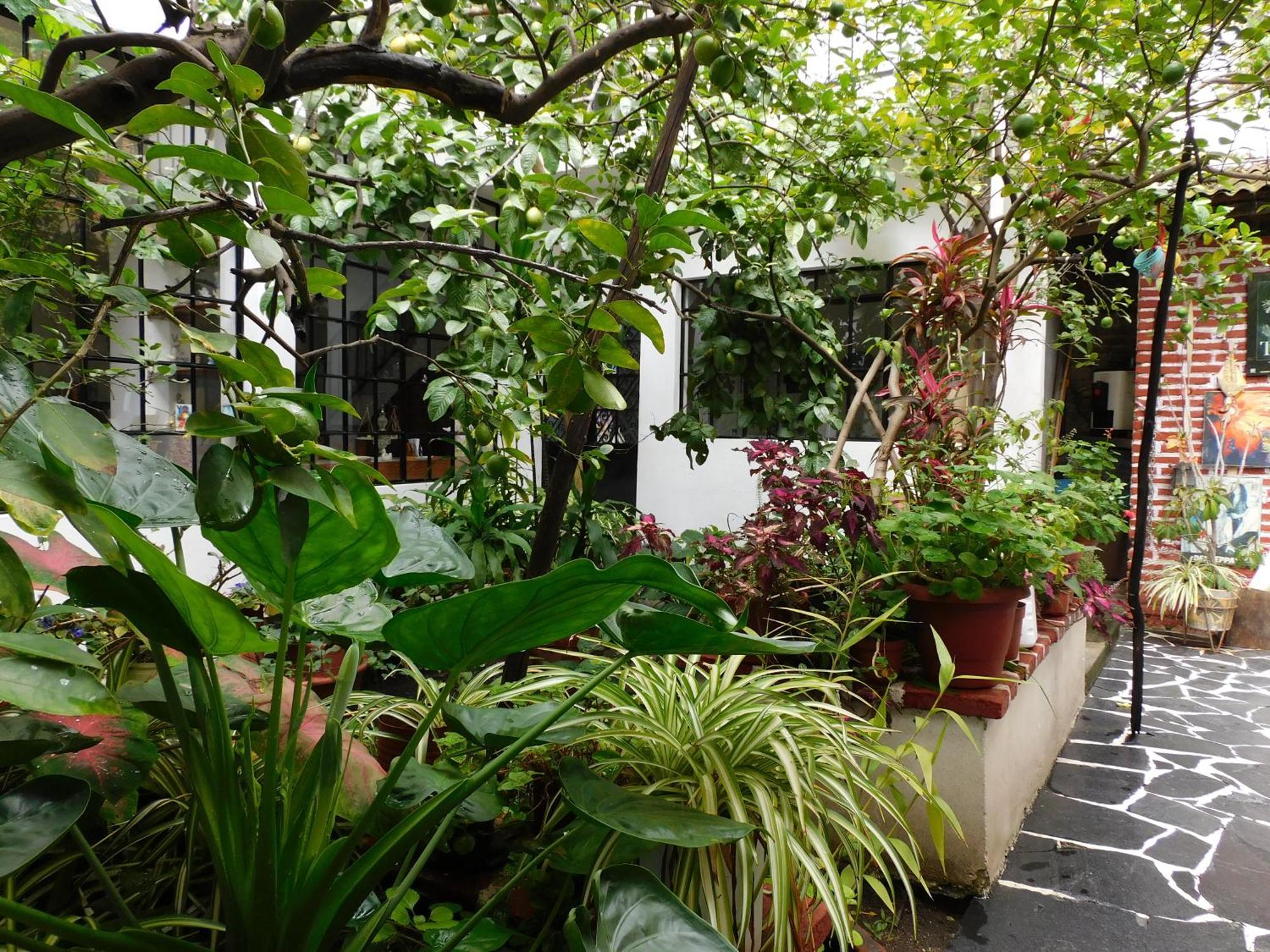 Maria Bonita By Rotamundos Hotel แท็กซ์โก เด อลาร์คอน ภายนอก รูปภาพ